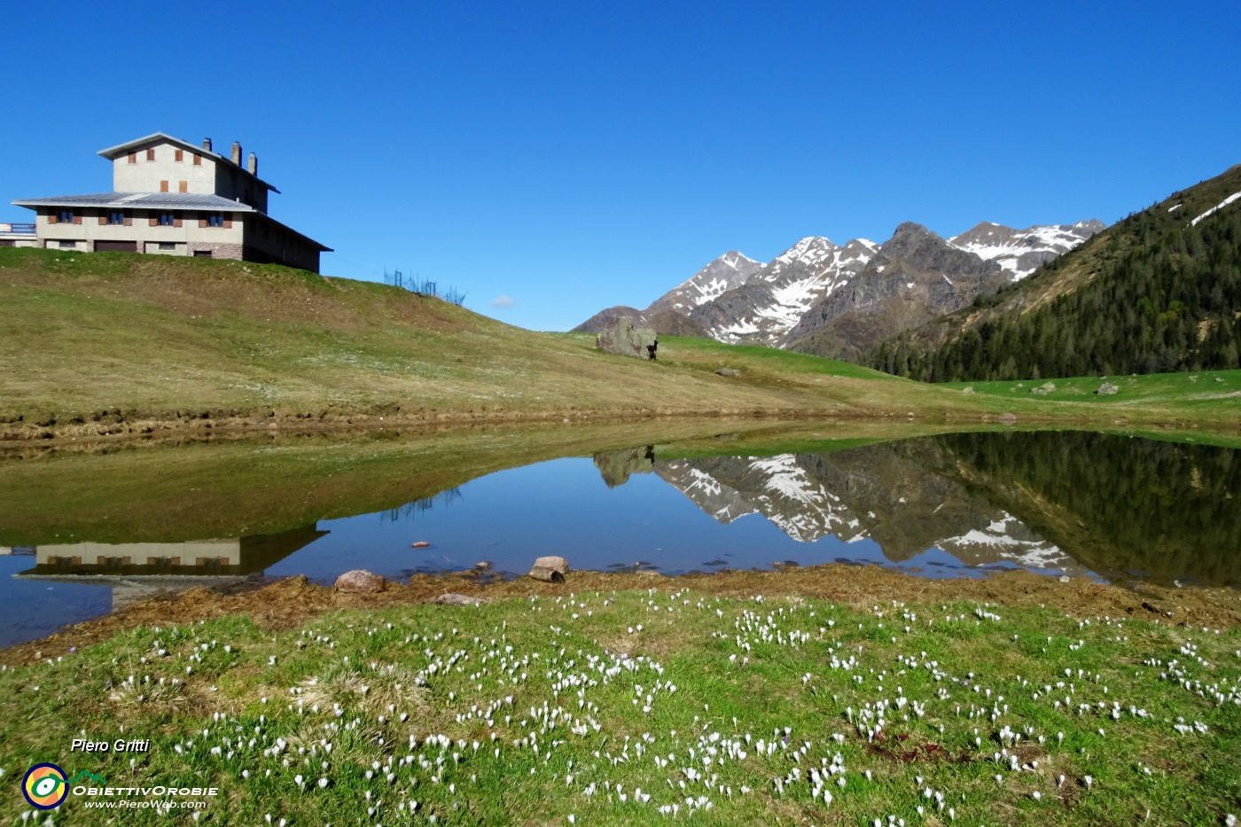 16 Crocus alla seconda pozza con vista in Rif. Monte Avaro e Tre Signori e -.JPG